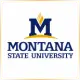 Montana State University Billings - Occupational Therapy School Ranking